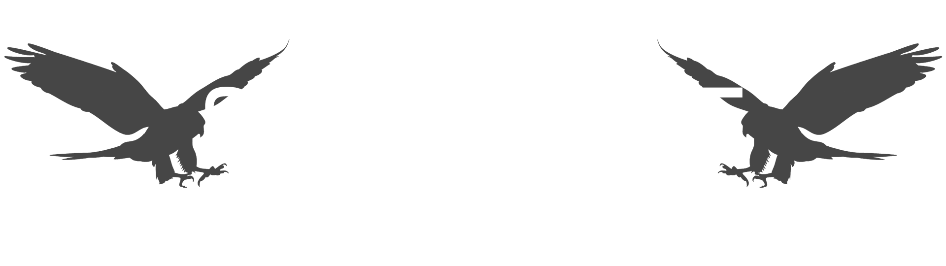 Sturmfalke